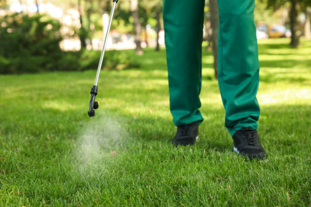 Best Pest Prevention Services  in Mked Tree, AR