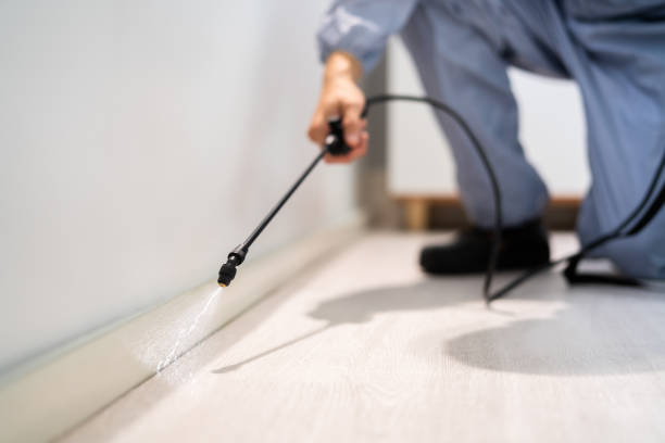 Best Emergency Pest Control  in Mked Tree, AR