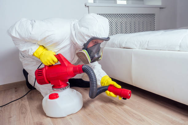 Best Termite Control Services  in Mked Tree, AR