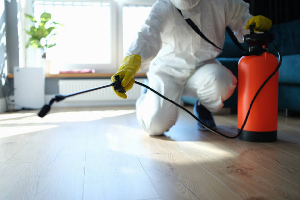 Best Local Pest Control Services  in Mked Tree, AR