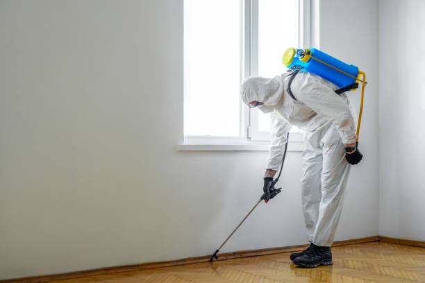 Best Ant Control Services  in Mked Tree, AR