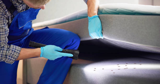 Best Affordable Pest Control Services  in Mked Tree, AR