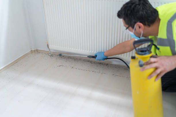 Best Exterminator Services  in Mked Tree, AR