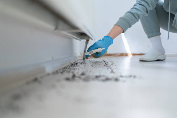 Best Best Pest Control Companies  in Mked Tree, AR