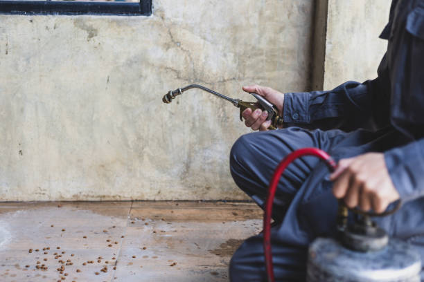 Best Pest Inspection Near Me  in Mked Tree, AR